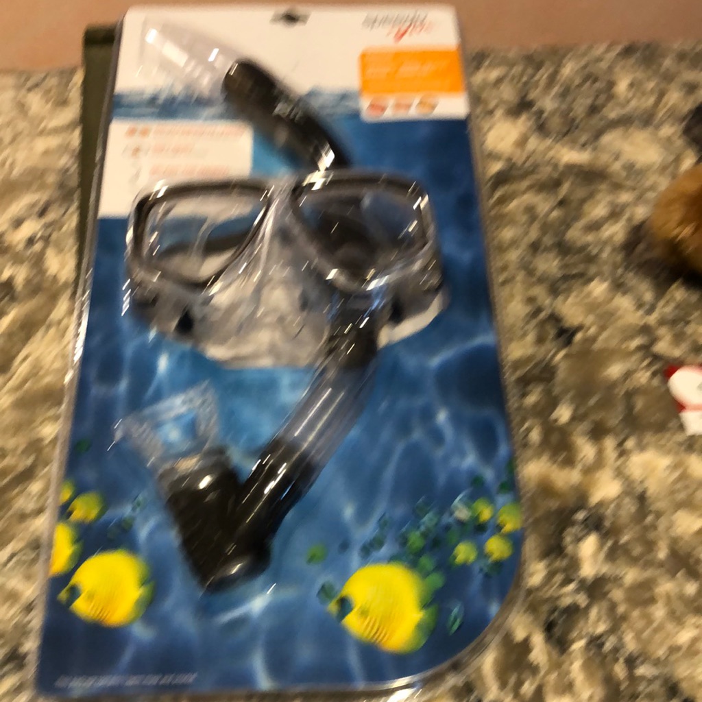 Speedo Dive Reef Scout Mask And Snorkel